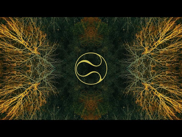 DEKEL & Modus - Golden Hour