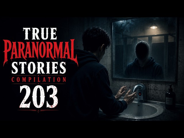1407 True Paranormal Stories Compilation | 10 Hours | Vol.  203