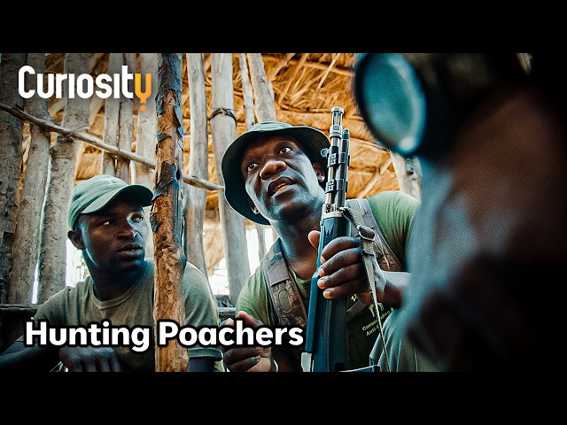 Guardians: Camera Traps Reveal Poachers — High-Speed Chase!