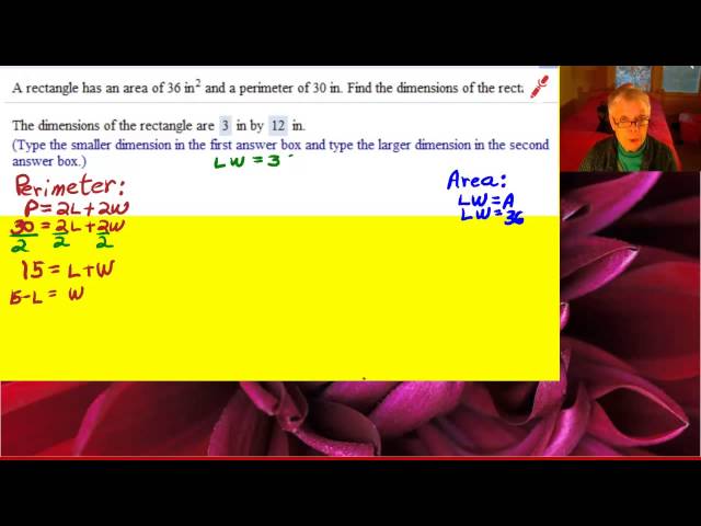 Non-Linear Systems Word Problem 2 - captioned