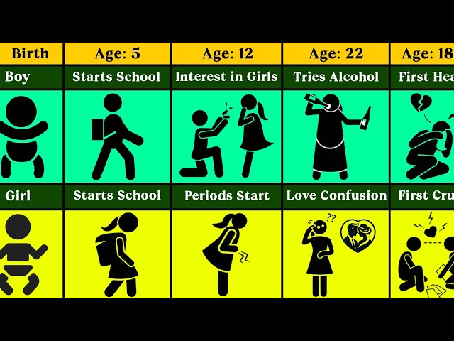 Male vs Female Life Timeline | Age 1 to 60 | Comparison