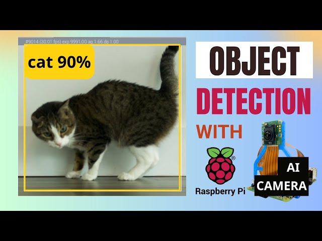 Object Detection Raspberry Pi AI Camera