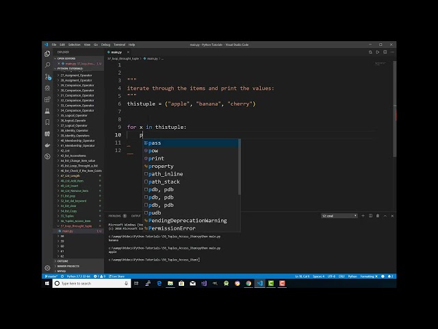 Python Tutorial For Beginners 52 Loop throught
