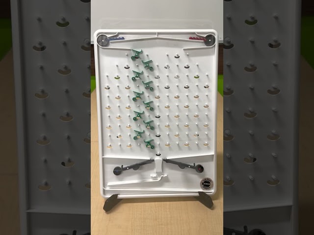 Code Ninjas El Segundo STEM Video:  Turing Tumble