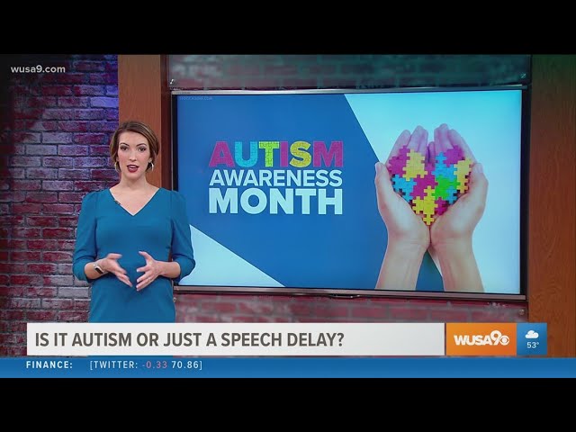 Is it autism or is it just a speech delay?