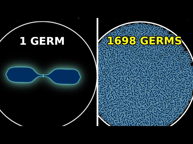 The Most Satisfying Physics Simulations | 12 Simulations in 1 video