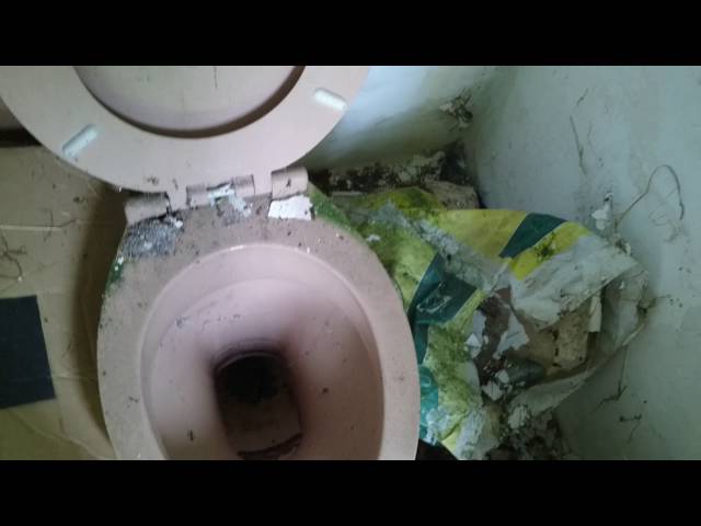 HLSP Tri-shell with Royal Doulton pan (derelict)