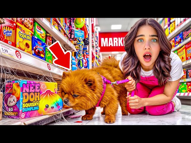WE FOUND EVERYTHING LEFT BEHIND AT THE STORE WITH MY DOG !! ELİF SİNEM