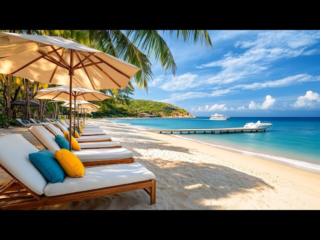 Tropicla Beach Vibes | Brazilian Bossa Nova Hits & Azure Ocean Views