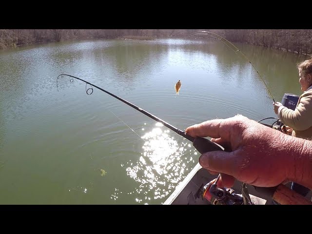HUGE Bluegill and Shellcracker! Fishing With A Hair Jig and Worm Combination