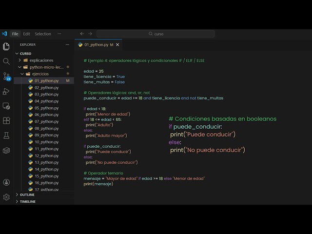 IF, ELIF y ELSE en Python explicados con un ejemplo real (licencia de conducir)