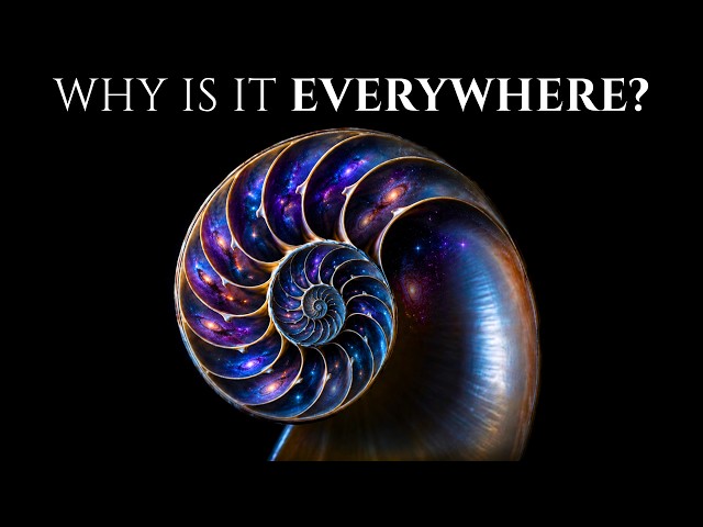 Why Does The Universe Follow The Fibonacci Sequence?