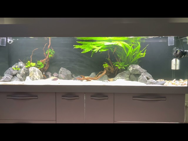 Tanganyika 2250x700x600