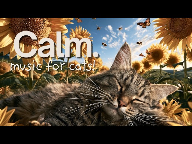 20 Hours of Calming Music for Cats 🐾 Peaceful Sleep & Relaxation