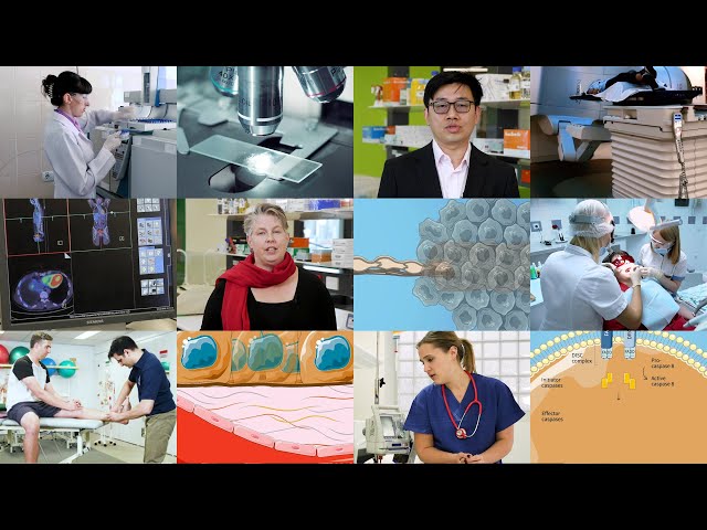 Master of Cancer Sciences - What you will learn