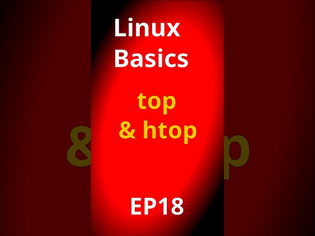 Linux Basics EP19 Top/Htop