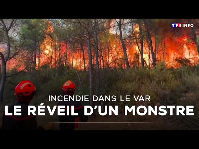 Fire in the Var: the awakening of a monster | TF1 INFO