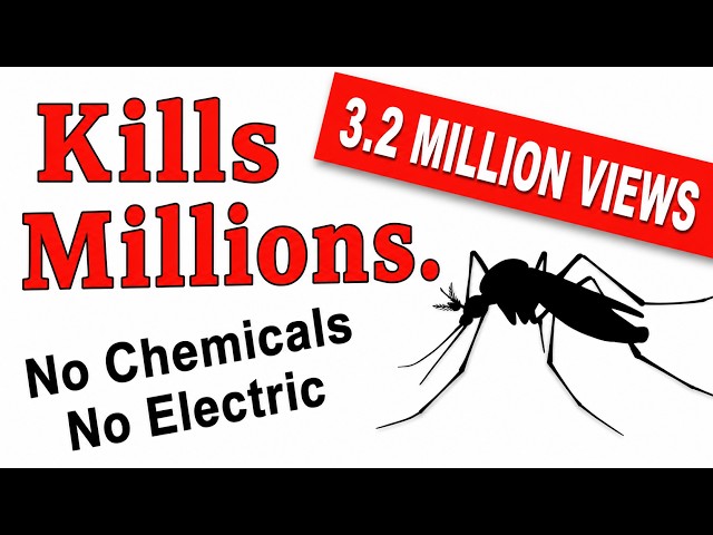 End Mosquitoes Lifecycle with this trick!  Everyone is sharing my idea & I love it!