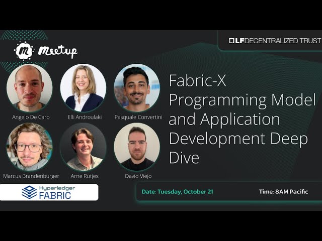 Fabric-X-Programming Model & Application Development