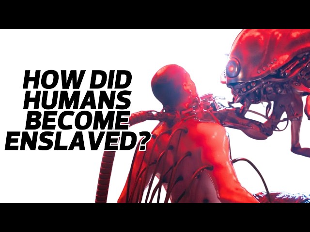 What Happened Before The Matrix? Full Matrix Backstory Explained