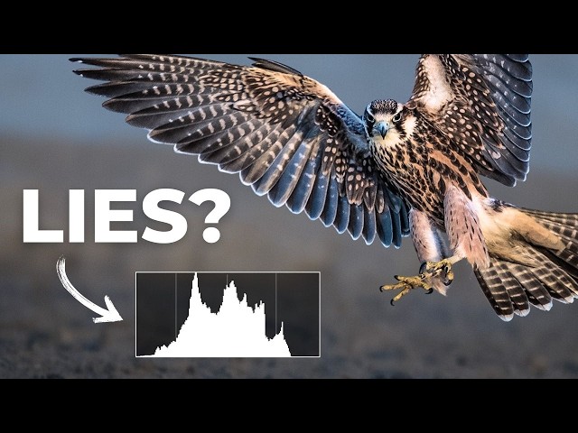 How to Use Histograms for Better Photography