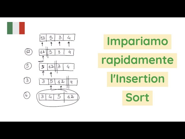 INSERTION SORT - ITA