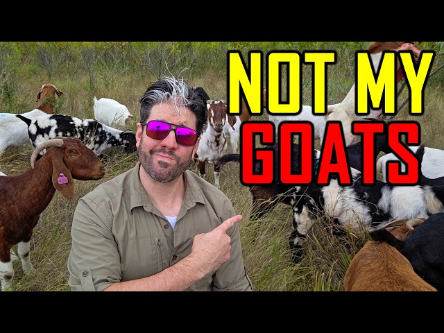 I Failed at Homesteading. Here's Why.