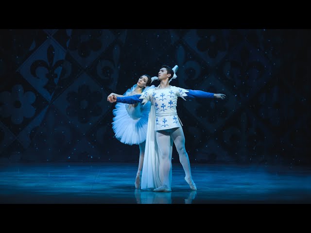 Raymonda - The Dream Adagio (Stefanija Gashtarska 21 years old, Perm Opera and Ballet)
