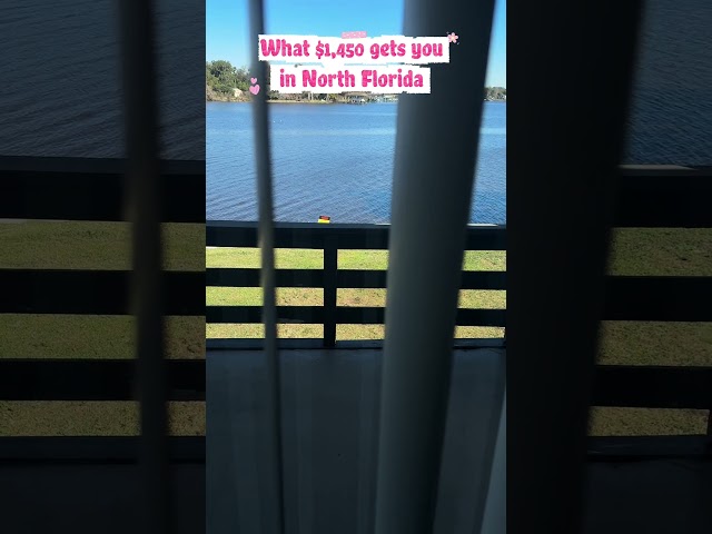 Moving from Canada 🇨🇦 to Florida #viral #fypシ #moving #canada #usa #rent #momlife #kids #singlemom