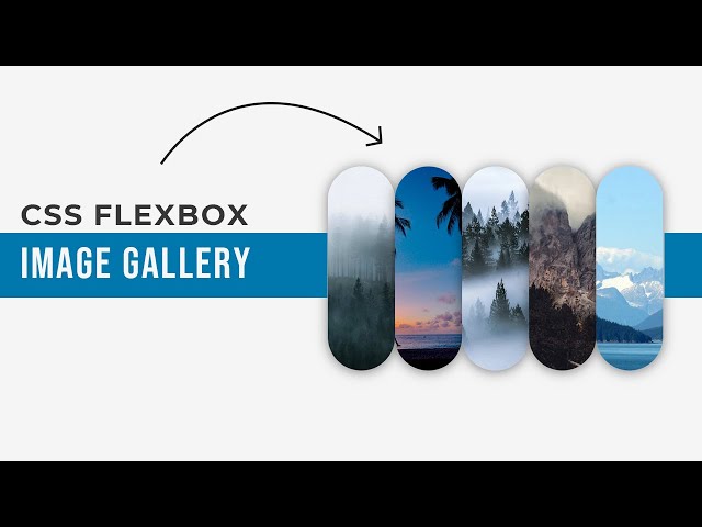 How to Create a Responsive Image Gallery with CSS Flexbox