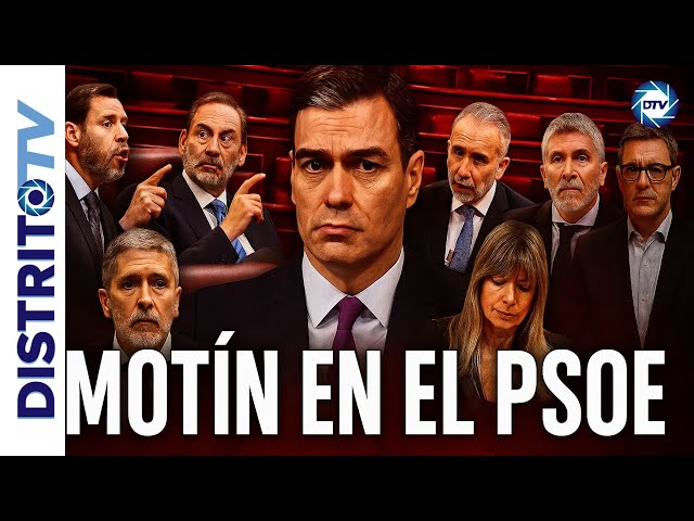 🔴MUTINY IN THE PSOE: “SÁNCHEZ MUST RESIGN OR THE PARTY WILL DISAPPEAR”🔴