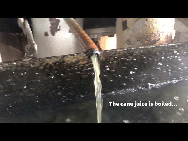 Inside the Uitvlugt Sugar Factory
