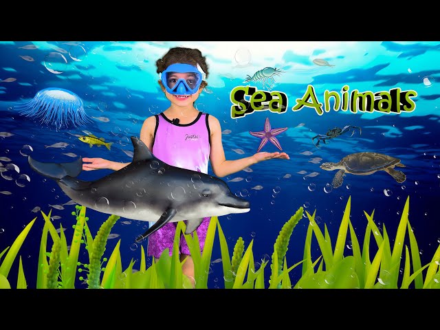 Neva's Fun Guide to 10 Favorite Sea Animals for Kids