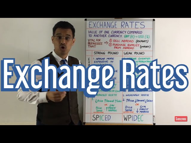Exchange Rate Impacts