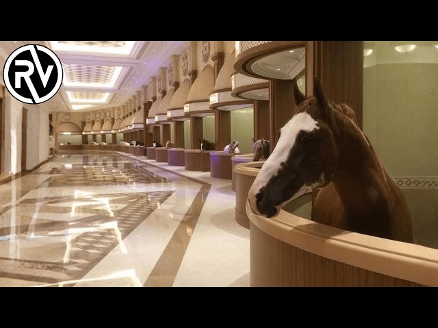 Extreme Luxury: How do the top 1% of horses live?