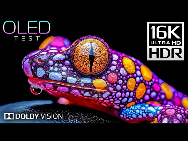 OLED Test - 16K VIDEO ULTRA HD | 16K HDR Dolby Vision (4K/8K TV)