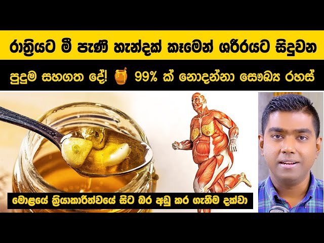 රාත්‍රියට මී පැණි හැන්දක සෞඛ්‍ය වාසි: හාවඩ් සහ ඔක්ස්ෆර්ඩ් පර්යේෂණ ඇසුරින් | Eating Honey Every Day