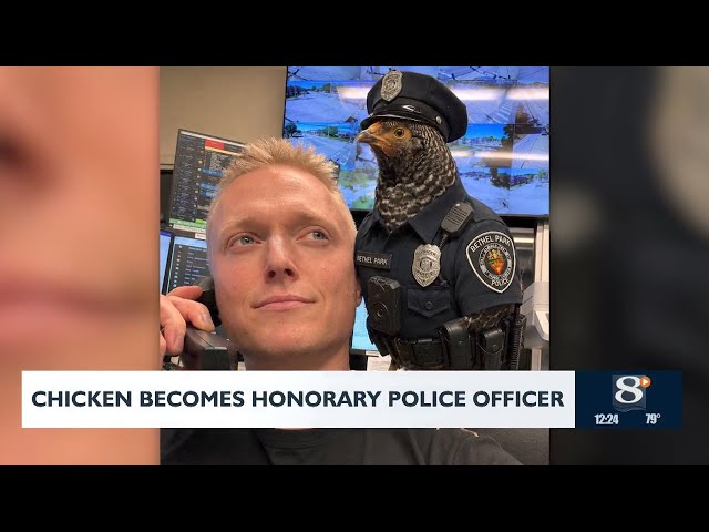Chicken becomes honorary police officer