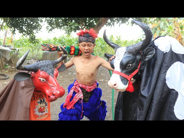 FIERCE‼️ A COW BULL VS A RED BULL FIGHTING FOR A LOT