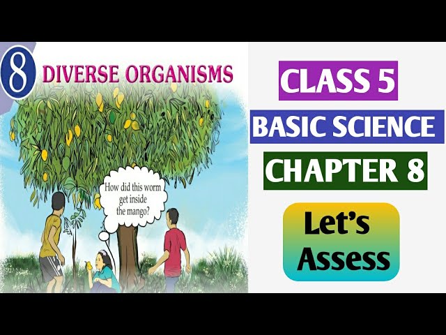 Class 5 Basic Science Chapter 8 Diverse Organisms Kerala Syllabus Let's Assess