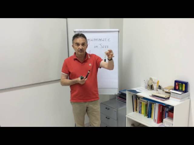 Le basi della programmazione Java: Classi ed Oggetti