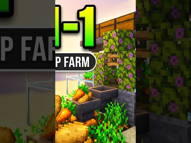ONE Farm for TWO Crops! Minecraft Carrot + Potato Farm Tutorial