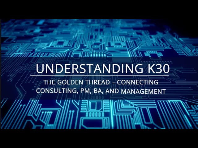🔗 DTSP IT Consultant K30: Connecting PMs, BAs, and Management