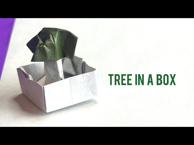 Impossible Tree in a Box - Origami