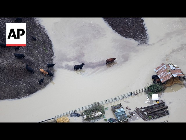 Aerial video shows severe flooding in Washington state