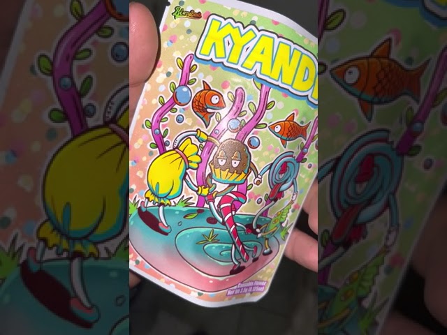 Kyandi Beazybudz straight gas ⛽️🔥🍬