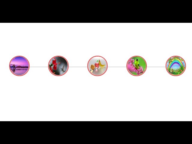 Design 2 using html and css