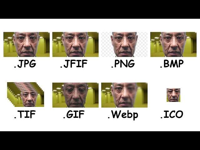 Every Image Format Explained in 8 minutes