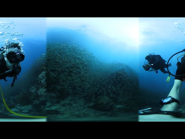 Koh Phangan Day 8 - Dive at Sail Rock part 4