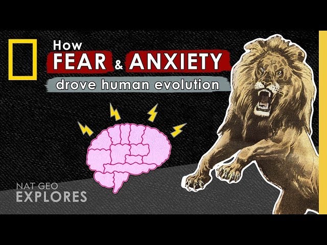How Fear and Anxiety Drove Human Evolution | Nat Geo Explores